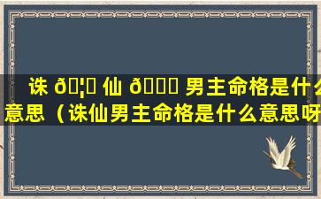 诛 🦉 仙 🐞 男主命格是什么意思（诛仙男主命格是什么意思呀）